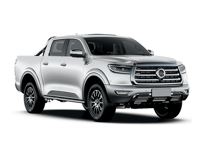 Купить Great Wall Poer в Екатеринбурге - Снежный белый