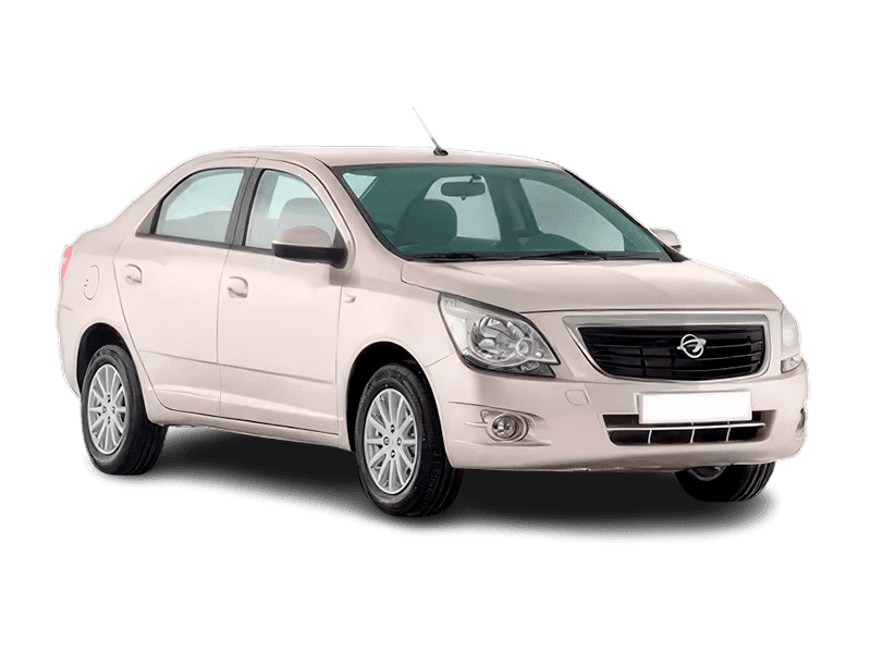 Купить Ravon R4 в Екатеринбурге - Бело-дымчатый